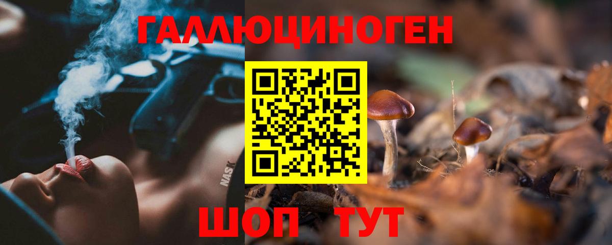 Галлюциногенные грибы Magic Shrooms  Галлюциногенные грибы прущие грибы  Вход с VPN  Подольск 